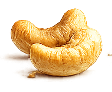 Castañas de cajú
